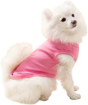 Qwinee cão camisa colete de cachorro tanque de cachorro de cachorro gato de cachorro