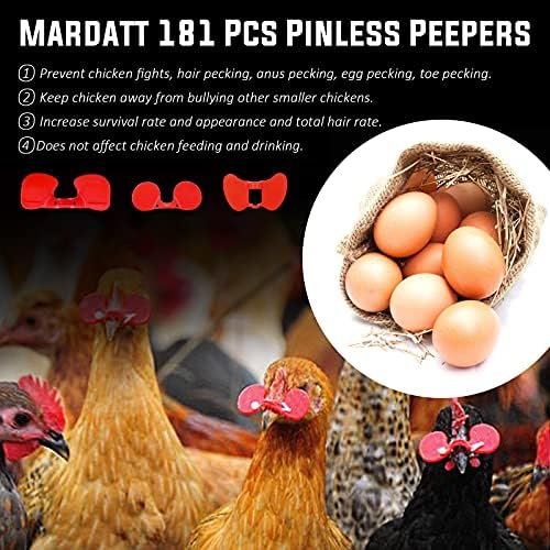 Mardatt 181 PCs Peepers sem alicate com alicates definir 6 peepers de galinha de galinha de aves de aves