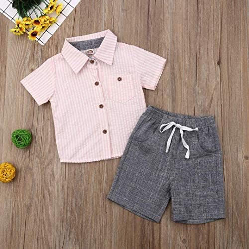 Criança bebê menino flamingo de manga curta para baixo camisa e shorts casuais definir roupas de verão de 1 a
