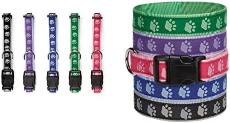MPP Two Tone Paw Print Dog Collar Packs reforçados ajustáveis