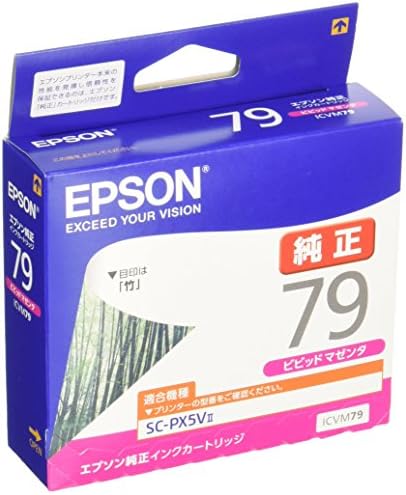 Cartucho de tinta genuíno Epson ICVM79