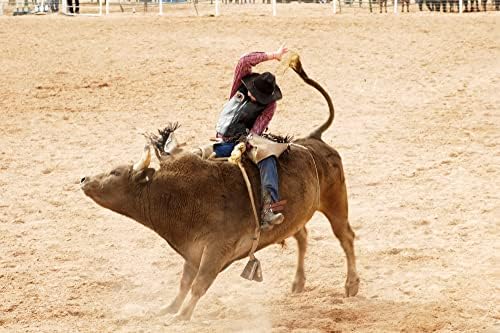 Rodeo Colete Patch - O Hall da Fama da Fama de Bull em - Peel and Stick Borderyer Patches para Western Cowboy