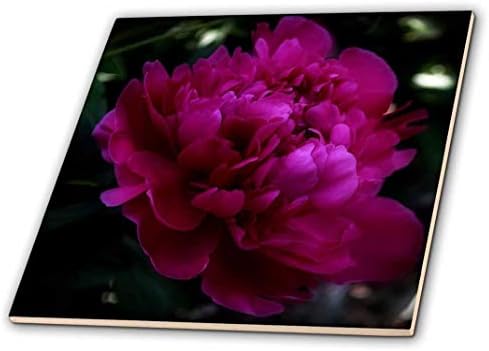 A flor rosa escura em 3d rosa é uma bela peônia com telha de cerâmica adicional, multicolor