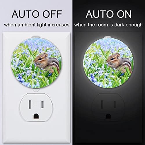 2 Pacote de plug-in Nightlight LED Night Light com sensor de entardecer ao amanhecer para o quarto