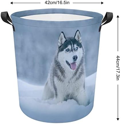 Huskies siberianos na cesta de neve cesto de cesta de armazenamento dobrável cestas de roupas