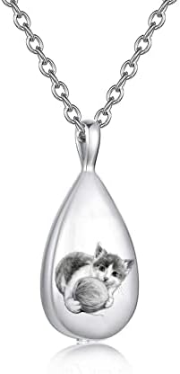 Dotuiarg Pet Memorial Urna Colar para joias de jóias de jóias de cães de cão de gato gravado Jóias de lembrança