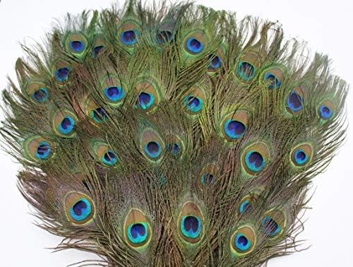 Peneiras naturais de pavão Garvest-10 a 12 polegadas de penas de cauda de pavão-decoração de artesanato