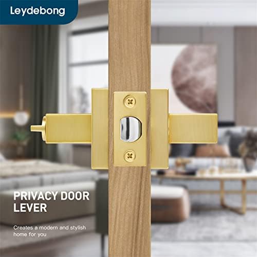 10 Pacote de privacidade de privacidade pesada A alavanca da porta da porta conjunta