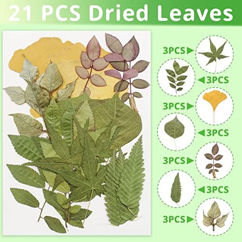 Cinvo 63 PCs folhas reais seco de folhas secas naturais variadas secas com pinça para resina jóias de jóias de