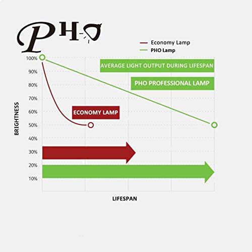 Pho BHL-5009-S Lâmpada / lâmpada de substituição original genuína com alojamento para o projetor Pioneer