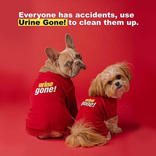 Removedor e odor de manchas para animais de estimação da urina: limpador de tapetes pesados ​​penetra