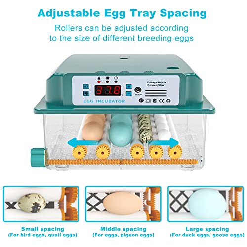 16 Incubadores de ovos para chocar ovos, ovos de virar automáticos, garrantee de dupla potência, galinhas