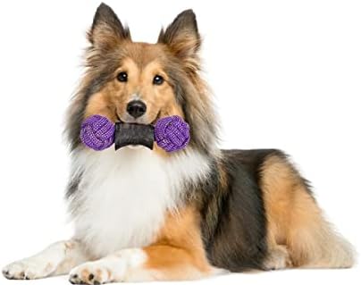 Crazy Tails Dog Chew Rode Toy for All Puppy raça brinquedos de cachorros para dentar cães pequenos de dentição