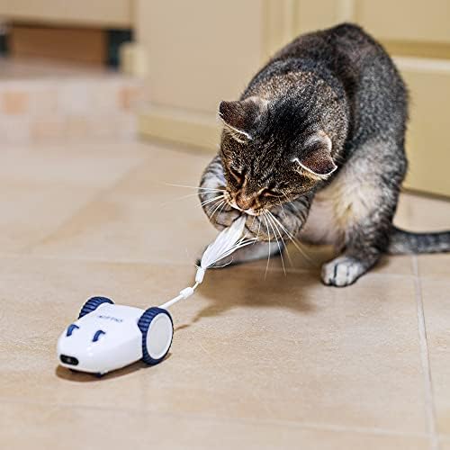 Kittio Robo Mouse - Interactive Mouse Chase Cat Toy - Charging USB - Sensores de direção inteligentes e movimento