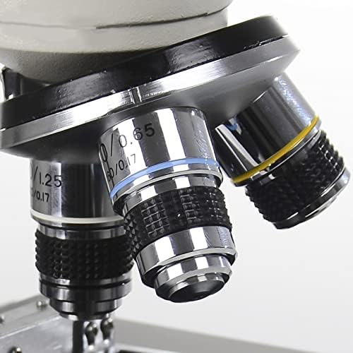 Kit de acessórios para microscópio para adultos Lens de objetivo do microscópio 4x 10x 20x 40x 60x 100x Laboratório