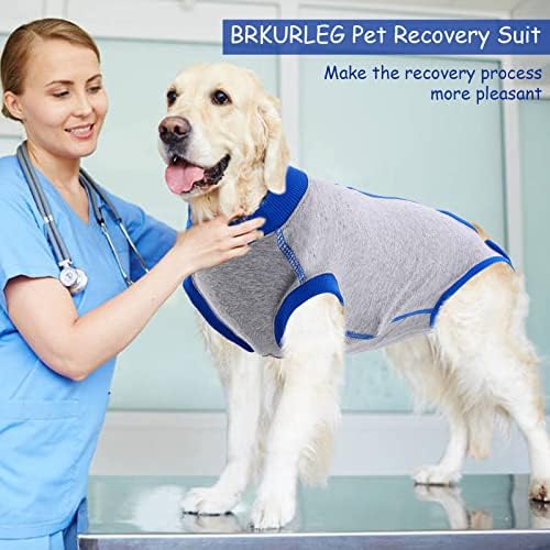 Após a cirurgia, cães de recuperação de gatos, traje de recuperação alternativa de cães e cães de cães
