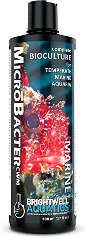 Brightwell Aquatics Microbacter CWM - Bactérias bioculturas para aquários marinhos de água fria temperada, estabelece filtração biológica, 250 ml