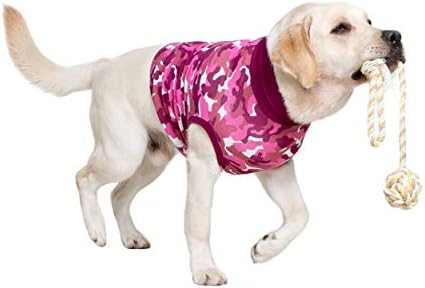 Cão de terno de recuperação adequado, camuflagem extra grande, rosa