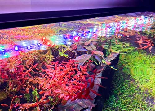 JC&P Full Spectrum Aquarium Light Light com suportes extensíveis com LEDs aquáticos de LEDs vermelhos, verdes,