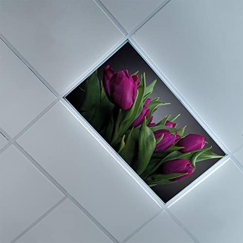 Tampas de luz fluorescente para o teto dos painéis do difusor de tulipa-roxo de tulipa tulipa-fluorescente
