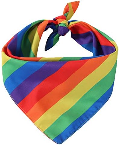 Latfz 1/2 pacote arco -íris bandanas LGBT DIA DIA DE ARVILHO BANDANNAS FENHO BIBS DO LENHO DE LENHO