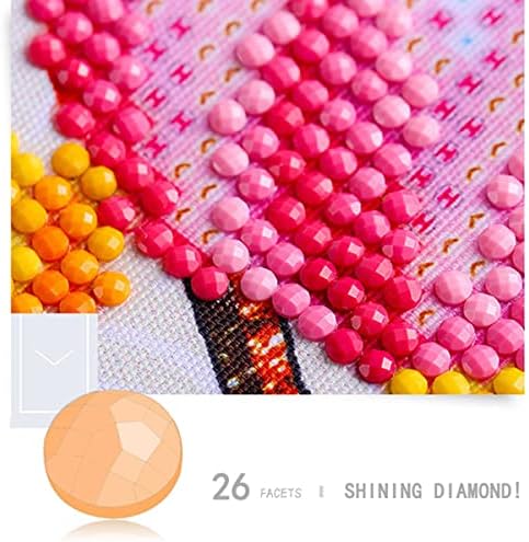 Instarry 5D Kits de pintura de diamante Diy DIAM
