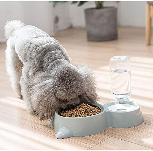 Dream Dream Double Dog Cat Bowls, Pets Water and Food Bowl Set com tigela de aço inoxidável destacável,
