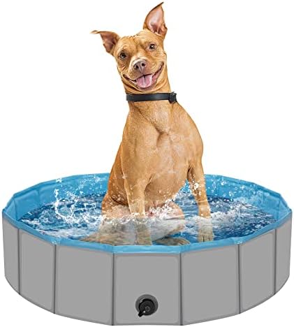 Piscina de cães para cães pequenos, piscina de plástico para cães, banheira de cachorro portátil, piscina dobrável
