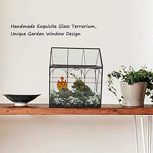 Grande Terrarium Glass - Terrarium de estufa de vidro com tampa, 8,7 x5,9 x10,6 polegadas de mesa interna