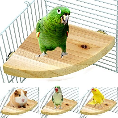 Borangs Wood Perch Bird Platform Parrot Stand Playground Cage Acessórios para pequenos anminals ratos