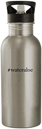 Presentes Knick Knack Wateraloe - 20 onças de aço inoxidável garrafa de água, prata