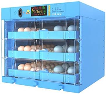 Incubadora de ovo zapion para choques de incubação Vista de 360 ​​graus 360 Digital Circulated Air Incubator Poultry for Chickens Ducks Bird Bird