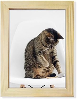 Dihythinker Animal Funny Funny Cat Shoot Desktop Adorn Photo Frame Exibir arte pintura de madeira