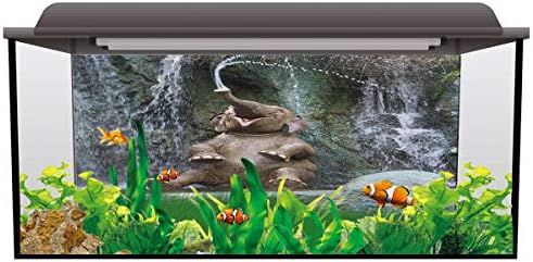 T&H Home Aquarium Decor Backgrounds - Funny O nariz do elefante está pulverizando o tanque de
