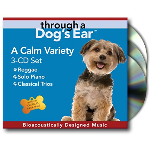 Através do conjunto de ouvido de um cachorro, uma variedade calma