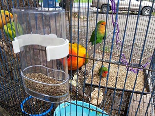 Pássaro alimentador de pássaros alimentadores de pássaros dispensador de água para parrot periquitos