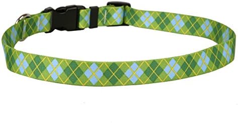 Design de cachorro amarelo, colarinho de cachorro verde limão, 3/8 de largura e encaixe o pescoço