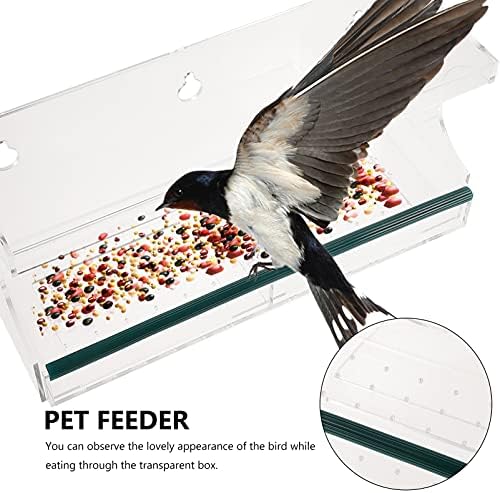 Alimentadores de gaiolas de pássaros doitol Cups de sucção Povô Birds Birds Acessórios para gaiola para