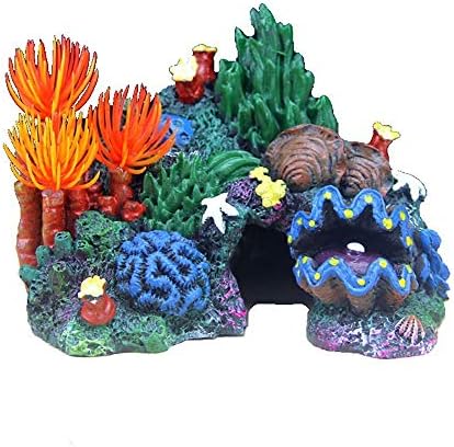 Decorações de tanques de peixe Moneyn, decorações de aquário, paisagismo de concha de coral