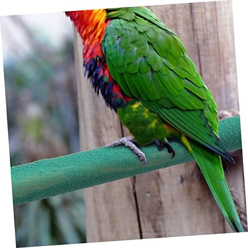 Hohopeti Toy Parrot 3pcs pássaro descanso suporte pássaro gaiola bobo bird gage acessórios de pássaros pássaro