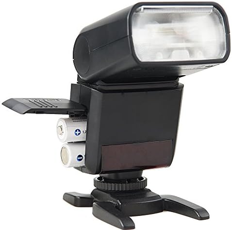 Leica D-Lux 6 Bounce, Zoom e Flash da cabeça giratória + Carregador Rapid CA Rapid de alta potência com 4AA 2900
