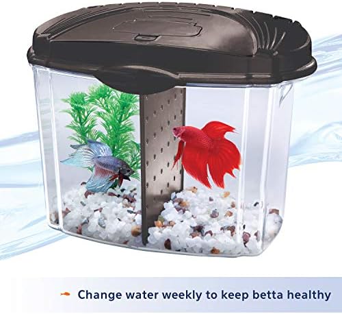 Kit de tanque de peixes aquários aquons de betta betta, preto, meio galão
