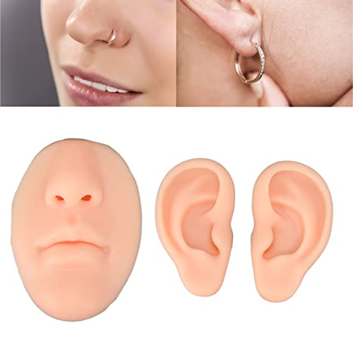 Modelo de orelha de silicone O nariz da boca da boca do corpo Kit 3D Ferramenta de ensino de
