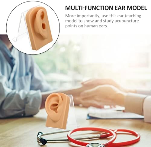 Modelo de orelha de silicone de manequim aquecida com suporte de acrílico Flexível Ear para orelhas