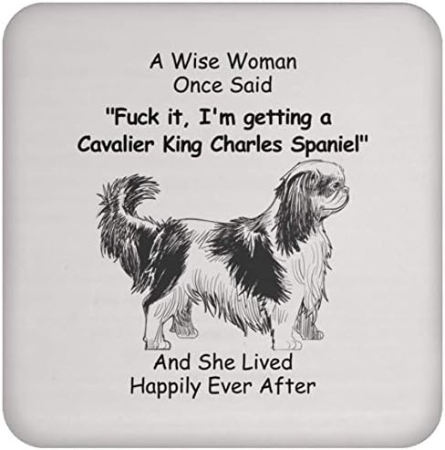 Presentes exclusivos Cavalier King Charles Spaniel Gifts For Women Christmas 2023 Gifts Coaster