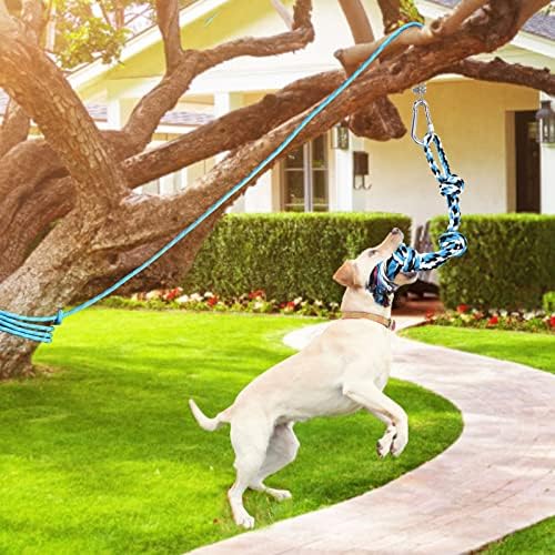 Toy Loobani Dog Spring Pólo para Pitbull, Externo Durável Truga Trug Tug Trug para Treinamento