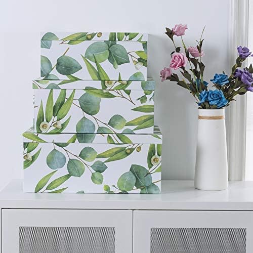 Caixas de papelão decorativas Soul & Lane com tampas para decoração para casa - raminhos de verde - conjunto de