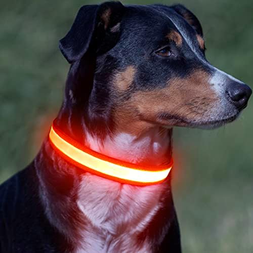 Vizpet colarinho de cachorro LED